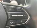 Hyundai SANTA FE 2.2 CRDi 4WD Prime *Krell*Memory* - thumbnail 20