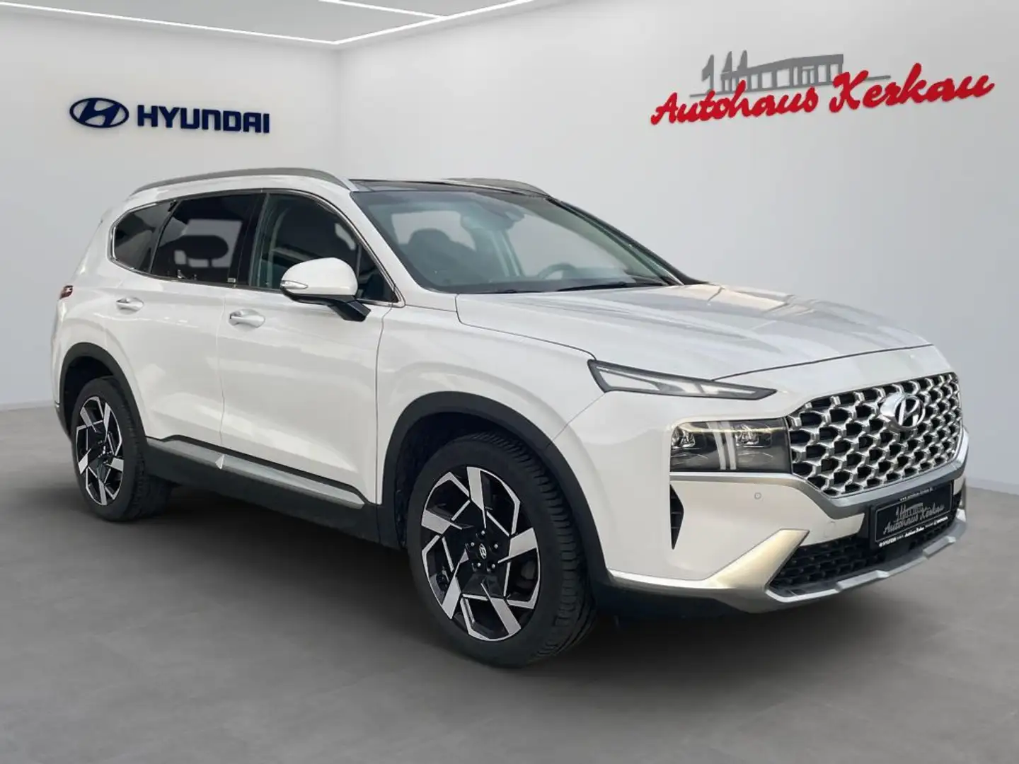 Hyundai SANTA FE 2.2 CRDi 4WD Prime *Krell*Memory* - 2