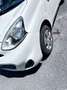 Nissan Micra Acenta Blanco - thumbnail 4