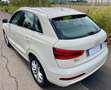 Audi Q3 Q3 2.0 tdi Advanced Plus quattro 177cv s-tronic Bianco - thumbnail 6