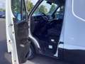 Iveco Daily 35-120/l1h2/148000km/3Zitplaatsen/Camera Wit - thumbnail 11
