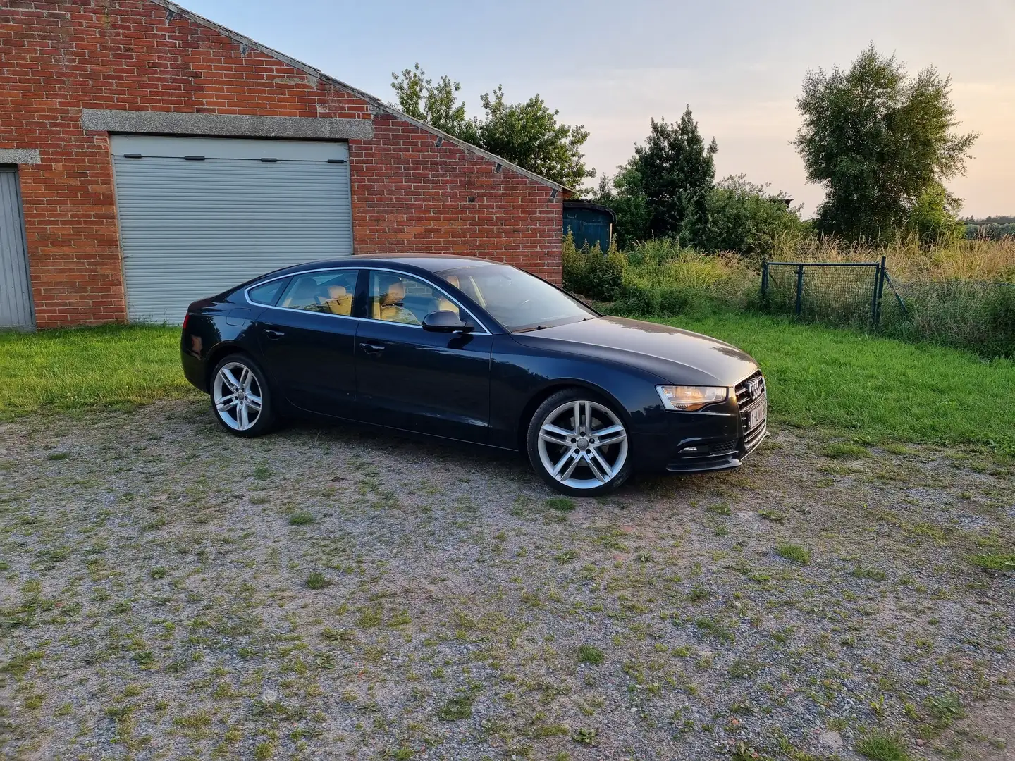 Audi A5 A5 2.0 TDI Sportback DPF Bleu - 2