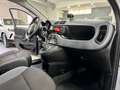Fiat Panda 1.2 EasyPower GPL Lounge 2019 Grigio - thumbnail 11