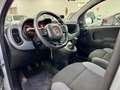 Fiat Panda 1.2 EasyPower GPL Lounge 2019 Grigio - thumbnail 9