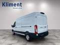 Ford Transit Kasten 2,0 EcoBlue L3H2 350 Trend Weiß - thumbnail 12