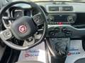 Fiat Panda Panda 1.0 firefly hybrid 70cv City Life Grau - thumbnail 11