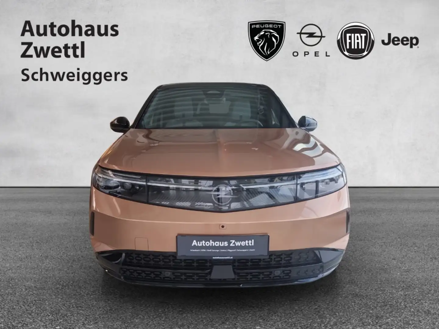 Opel Grandland -e GS Elektro 213 PS 73 kWh Braun - 2