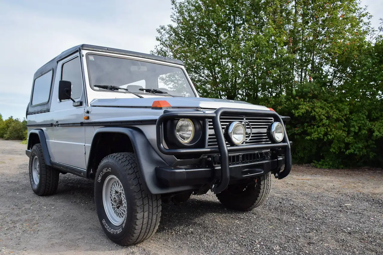 Mercedes-Benz G 300 460, foto 9