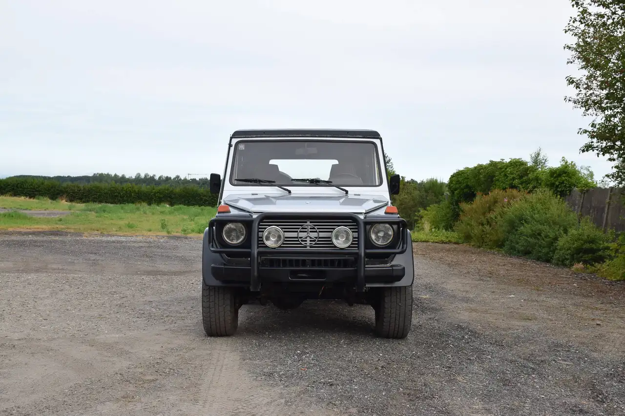 Mercedes-Benz G 300 460, foto 10