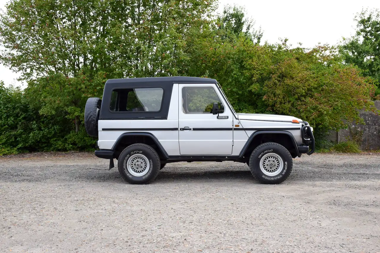 Mercedes-Benz G 300 460, foto 2
