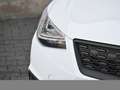 SEAT Ibiza 1.0 ROAD EDITION DSG PDC RFK 16LM SHZ LED Blanc - thumbnail 7