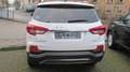 SsangYong Rexton 2.2 e-XDi 4WD Autom,Noblesse,MY2020, Alu 20",3,5t Weiß - thumbnail 4