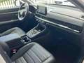 Honda CR-V Hybrid 2.0i 4WD Advance Leder Pano Kamera Blanc - thumbnail 14