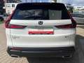 Honda CR-V Hybrid 2.0i 4WD Advance Leder Pano Kamera Blanc - thumbnail 6