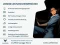 Honda CR-V Hybrid 2.0i 4WD Advance Leder Pano Kamera Weiß - thumbnail 16