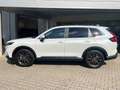 Honda CR-V Hybrid 2.0i 4WD Advance Leder Pano Kamera Blanc - thumbnail 8