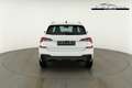 Skoda Kamiq Selection 1.0 TSI DSG Selection, LED, Kamera, A... Weiß - thumbnail 14