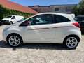 Ford Ka/Ka+ Titanium Individual 1.3*KLIMA* Blanc - thumbnail 8
