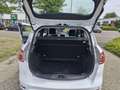 Ford B-Max 1.0 EcoB. Tit. Fi.Ed Wit - thumbnail 8