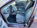 Ford Focus Style Violett - thumbnail 7