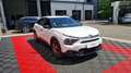 Citroen C4 BlueHDi 110 S&amp;S BVM6 Live Pack Business Blanc - thumbnail 3