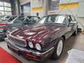 Jaguar Daimler Double Six Aut. Promi Vorbesitzer! Rouge - thumbnail 3
