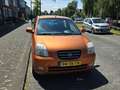 Kia Picanto Picanto 1.0 Bling Portocaliu - thumbnail 7