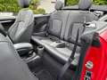 MINI One Cabrio One Classic Trim*SHZ*R.Cam*Sparsam... Rot - thumbnail 16
