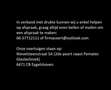 Tesla Model 3 Standard RWD Plus 60 kWh Gris - thumbnail 3