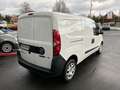 Fiat Doblo Cargo Maxi Kasten SONDERPREIS!! 1,6 100PS White - thumbnail 5