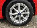 Ford Fiesta ST-Line Bluetooth Klima Einparkhilfe Rot - thumbnail 17
