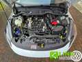 Ford Fiesta 1.0 EcoBoost 125 CV Hybrid ST-Line Blanc - thumbnail 18
