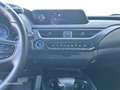 Lexus UX 200 SUV EXECUTIVE 2.0 Híbrido Gasolina Transmisión A Gris - thumbnail 8