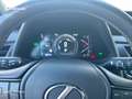 Lexus UX 200 SUV EXECUTIVE 2.0 Híbrido Gasolina Transmisión A Gris - thumbnail 10