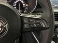 Alfa Romeo Stelvio 2.2 TD 160CV BUSINESS RUOTINO CERCHI 18" PERFETTA - thumbnail 42