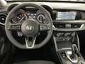 Alfa Romeo Stelvio 2.2 TD 160CV BUSINESS RUOTINO CERCHI 18" PERFETTA - thumbnail 9