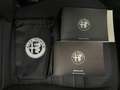Alfa Romeo Stelvio 2.2 TD 160CV BUSINESS RUOTINO CERCHI 18" PERFETTA - thumbnail 34
