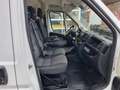 Fiat Ducato Maxi 2.3 JTD Koelwagen Multitemp Xarios 350MT ST 2 Wit - thumbnail 32