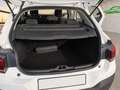 Citroën C4 Cactus 1.5BlueHDi S&S Business 100 Blanco - thumbnail 5