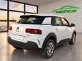 Citroën C4 Cactus 1.5BlueHDi S&S Business 100 Blanco - thumbnail 4