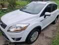 Ford Kuga Kuga 2,0 Titanium 4x4 TDCI DPF Titanium Weiß - thumbnail 2