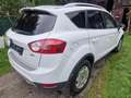 Ford Kuga Kuga 2,0 Titanium 4x4 TDCI DPF Titanium Weiß - thumbnail 4