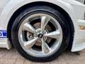 Ford Mustang USA 4.6 V8 GT Shelby GT500 Clone! Clean title/carf Blanc - thumbnail 21