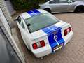 Ford Mustang USA 4.6 V8 GT Shelby GT500 Clone! Clean title/carf Blanc - thumbnail 10