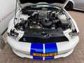 Ford Mustang USA 4.6 V8 GT Shelby GT500 Clone! Clean title/carf Blanc - thumbnail 12