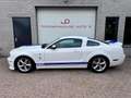 Ford Mustang USA 4.6 V8 GT Shelby GT500 Clone! Clean title/carf Blanc - thumbnail 2