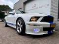 Ford Mustang USA 4.6 V8 GT Shelby GT500 Clone! Clean title/carf Blanc - thumbnail 13
