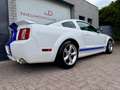 Ford Mustang USA 4.6 V8 GT Shelby GT500 Clone! Clean title/carf Blanc - thumbnail 15