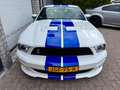 Ford Mustang USA 4.6 V8 GT Shelby GT500 Clone! Clean title/carf Blanc - thumbnail 4