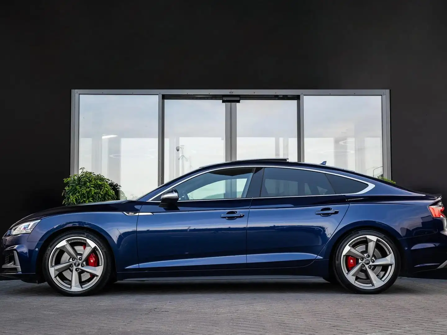 Audi S5 S5 3.0 TFSI q. PL+ Синий - 2